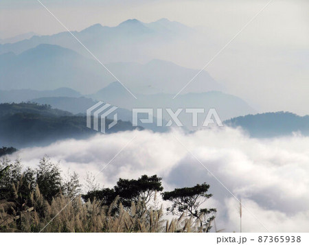 阿里山 南投 玉山 87365938