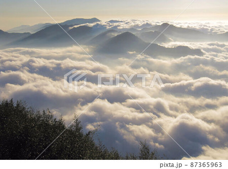 阿里山 南投 玉山 87365963