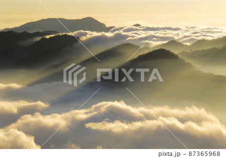 阿里山 南投 玉山 87365968