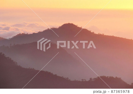 阿里山 南投 玉山 87365978