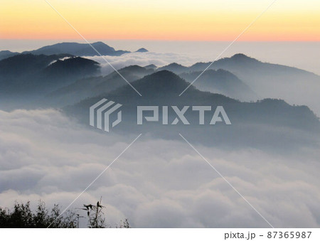 阿里山 南投 玉山 87365987