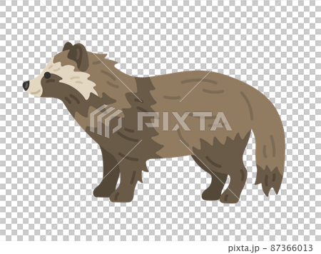 Illustration of a raccoon dog seen from the side Illustration of a raccoon dog seen from the side 87366013