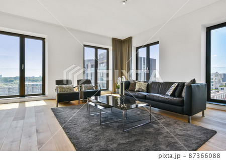 Modern living room interior with black sofa and...の写真素材 [87366088] - PIXTA
