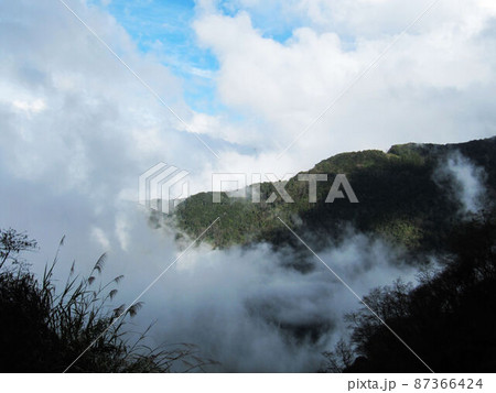 阿里山 南投 玉山 87366424