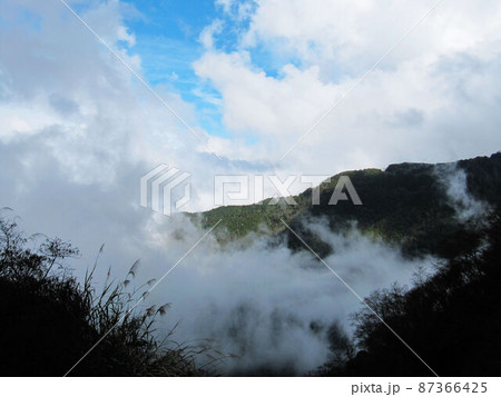 阿里山 南投 玉山 87366425