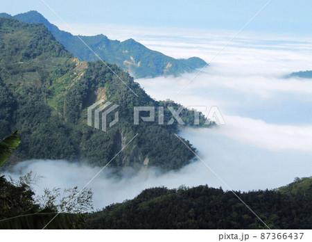 阿里山 南投 玉山 87366437