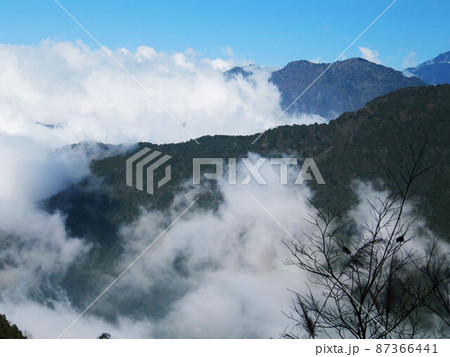 阿里山 南投 玉山 87366441