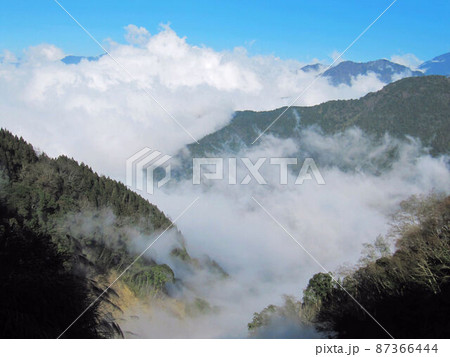 阿里山 南投 玉山 87366444