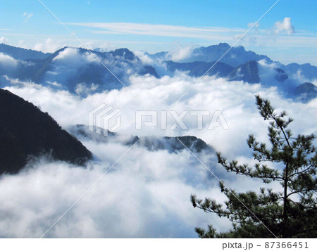 阿里山 南投 玉山 87366451