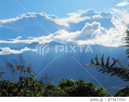 武陵農場 南山 山林 87367202
