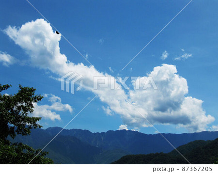 武陵農場 南山 山林 87367205
