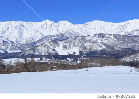 白馬村　野平から望む冬の北アルプス 87367832