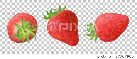 3 strawberries hand-drawn analog illustration 87367900