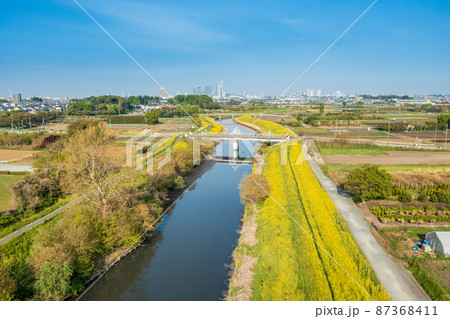 空撮「埼玉県」見沼田んぼの春 空撮「埼玉県」見沼田んぼの春 87368411