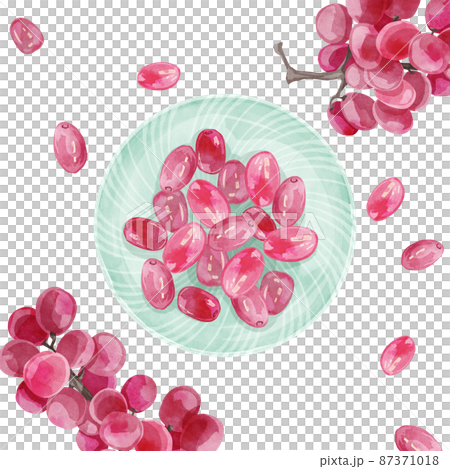 Hand-painted watercolor-style illustration of fruit grapes on a plate 87371018