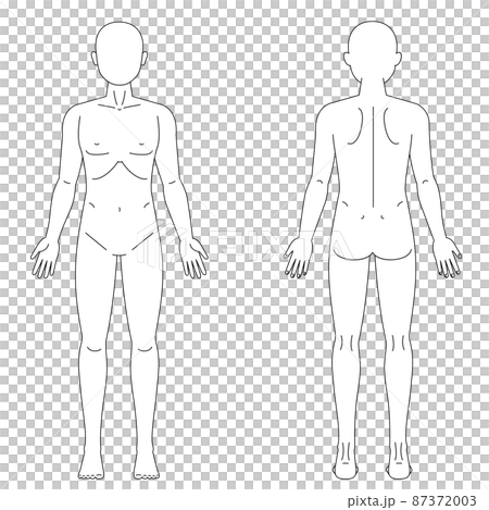 人体図 人体図 87372003