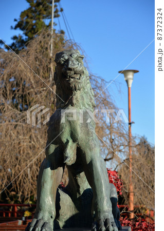 武蔵御嶽神社、狛犬 武蔵御嶽神社、狛犬 87372324