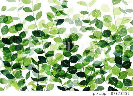 背景素材_水彩テクスチャ_葉っぱ 87372455