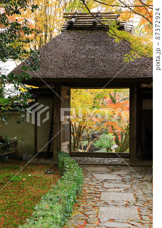 秋の安楽寺 紅葉風景 秋の安楽寺 紅葉風景 87372924