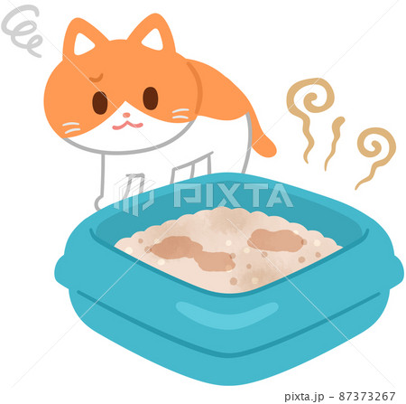 汚いトイレを嫌がる猫 汚いトイレを嫌がる猫 87373267