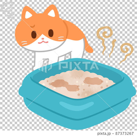 汚いトイレを嫌がる猫 汚いトイレを嫌がる猫 87373267