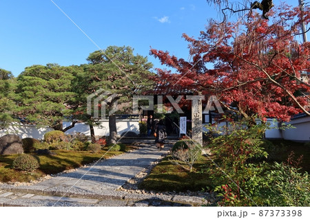 京都市にある円光寺境内の入り口と紅葉の風景 京都市にある円光寺境内の入り口と紅葉の風景 87373398