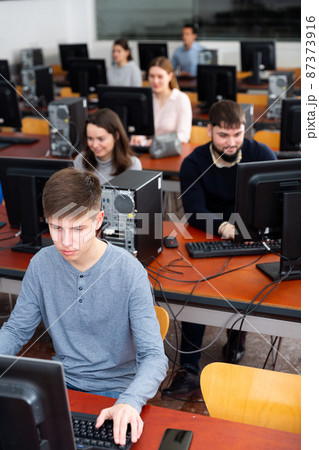 Portrait of female and male students working on computers in classroom 87373916