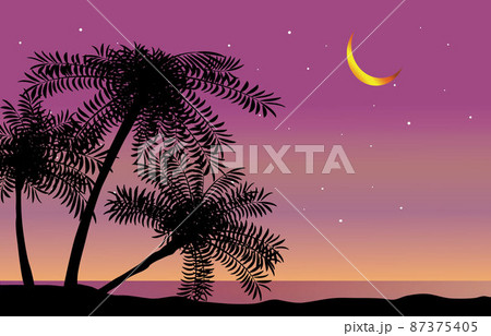 ヤシの木シルエット 夕暮れ ヤシの木シルエット 夕暮れ 87375405