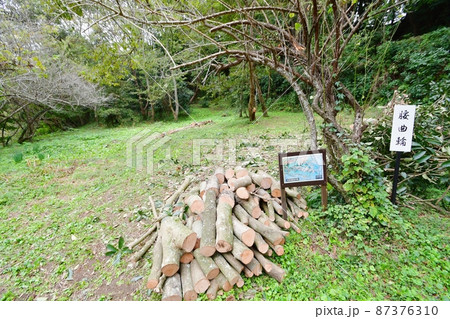 島崎城　腰曲輪 87376310