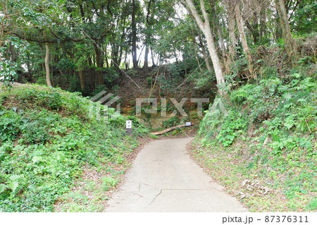 島崎城　虎口 87376311