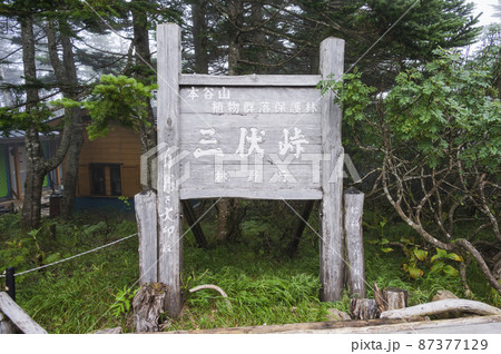 三伏峠 三伏峠 87377129