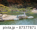 栗林公園　涵翠池　香川県高松市 87377871