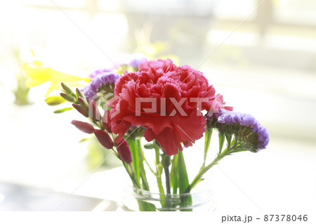 ガラス瓶に生けられた花 87378046