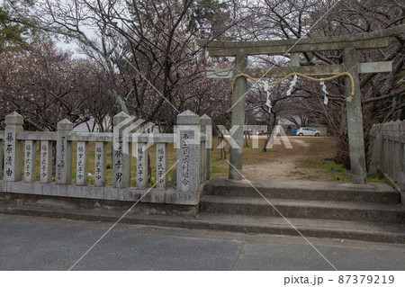 梅林で有名な兵庫県・明石市の御厨神社 87379219