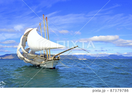 不知火海の冬の風物詩うたせ船漁 不知火海の冬の風物詩うたせ船漁 87379786