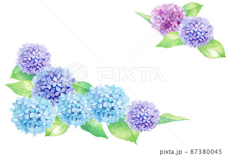 夏の花:アジサイの水彩イラスト。2隅装飾フレーム。 夏の花:アジサイの水彩イラスト。2隅装飾フレーム。 87380045