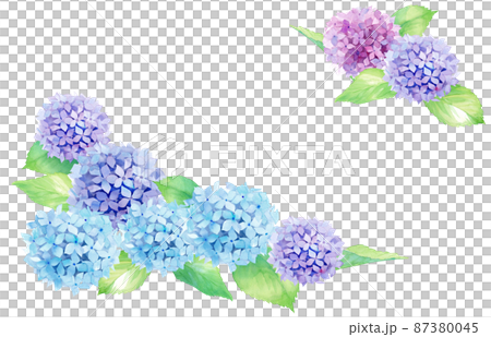 夏の花:アジサイの水彩イラスト。2隅装飾フレーム。 夏の花:アジサイの水彩イラスト。2隅装飾フレーム。 87380045