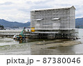 宮島　令和の大改修 87380046