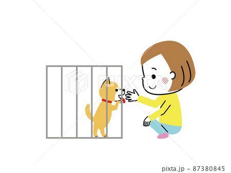 保護犬の譲渡会で出会った女の子と柴犬 87380845