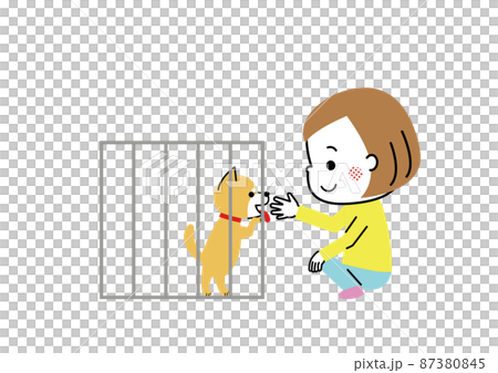 保護犬の譲渡会で出会った女の子と柴犬 87380845