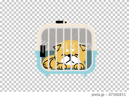 Shiba Inu is weakened by being trapped in a narrow crate 87380851