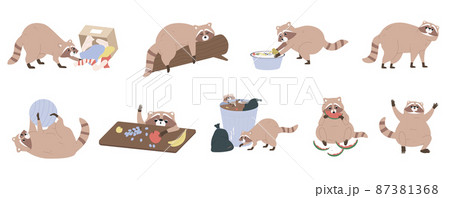 Cute Raccoon Flat Set Cute Raccoon Flat Set 87381368