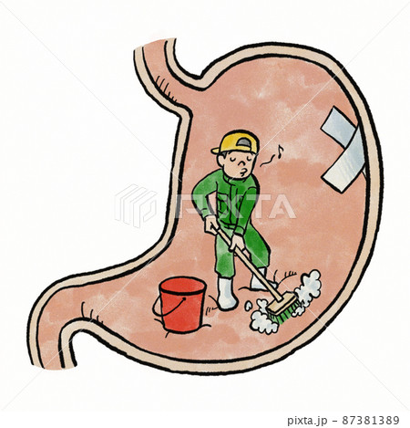 胃の中のピロリ菌を除去するイメージ 87381389