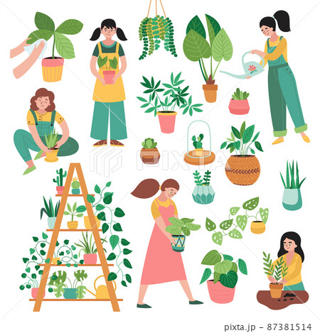 Home Plants Icon Set 87381514
