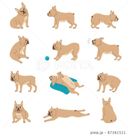 Dogs Emotions Set 87381521
