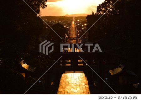 光の道　宮地嶽神社 87382598