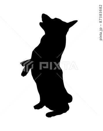 Black dog silhouette. Pembroke welsh corgi puppy. Black dog silhouette. Pembroke welsh corgi puppy. 87383682