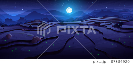 Night rice field terraces at asian landscape scene 87384920