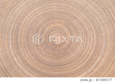 年輪(丸太の断面) 年輪(丸太の断面) 87386577