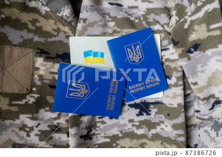 Concept. A Ukrainian soldier in camouflage is holding a Ukrainian passport with the symbols of the country. Homeland defense. The work of border control and the army of Ukraine. Mobilization Concept. A Ukrainian soldier in camouflage is holding a Ukrainian passport with the symbols of the country. Homeland defense. The work of border control and the army of Ukraine. Mobilization 87386726